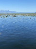 Skutarisee &ndash; &copy; Elke Knappe (Eberhardt TRAVEL)