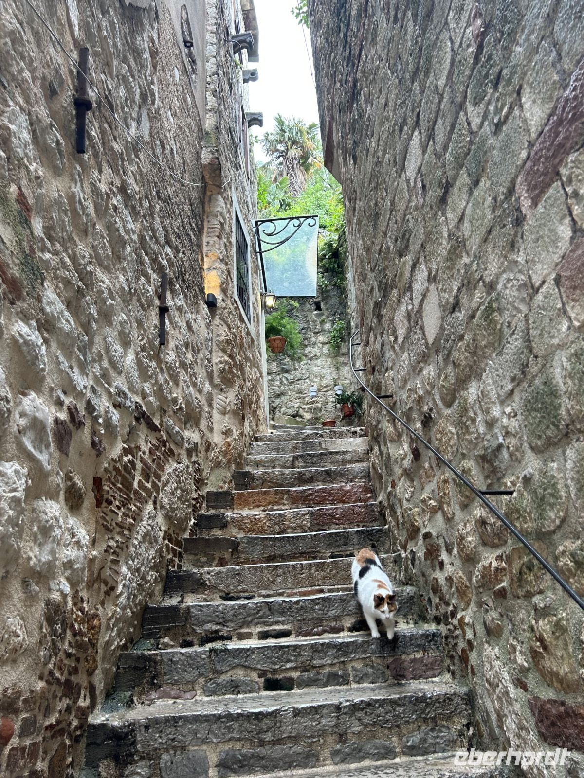 Die Stadt der Katzen  &ndash; &copy; Carola Gastmeier (Eberhardt TRAVEL)