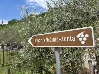 Weingut Zenta &ndash; &copy; Carola Gastmeier (Eberhardt TRAVEL)