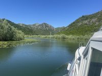 IMG_5908.jpeg