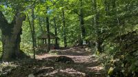 Biogradska Gora Nationalpark