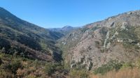 Morača-Schlucht