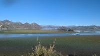 Skutarisee 