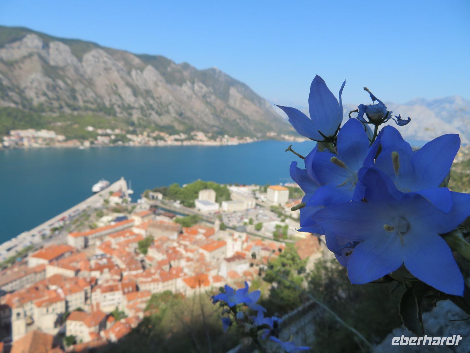Kotor &ndash; &copy; Rico Manns (Eberhardt TRAVEL)