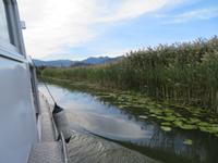 Skutarisee &ndash; &copy; Rico Manns (Eberhardt TRAVEL)