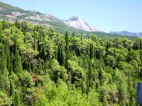 vor der Grenze zu Montenegro