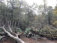 Biogradskasee
