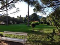 Budva Hotel