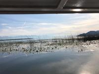 Skutarisee