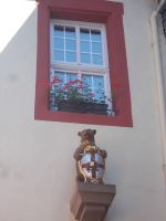DSCN9253.JPG  Wappenbär &ndash; &copy; Kerstin Veit (Eberhardt TRAVEL)