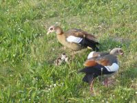 DSCN9370.JPG &ndash; &copy; Kerstin Veit (Eberhardt TRAVEL)