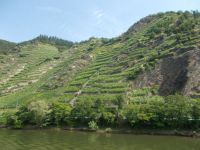 DSCN9432.JPG  Mosel - Weinberge &ndash; &copy; Kerstin Veit (Eberhardt TRAVEL)