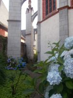 DSCN9471.JPG  Kirchgarten &ndash; &copy; Kerstin Veit (Eberhardt TRAVEL)