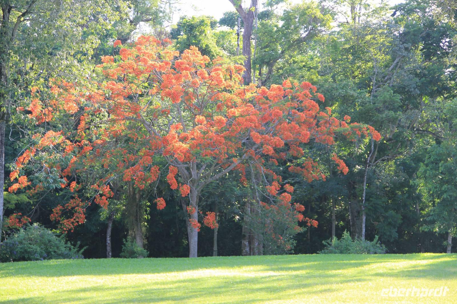 Foz do Iguaçu - Gartenanlage des Hotels &ndash; &copy; Sylvia Ott (Eberhardt TRAVEL)