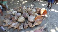 am Strand von Cabo Frio &ndash; &copy; Ute Hofmann (Eberhardt TRAVEL)