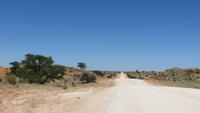 0026 Sanddünen der Kalahri &ndash; &copy; Annette Weise (Eberhardt TRAVEL)