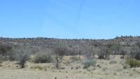 0042 Die Kalahari &ndash; &copy; Annette Weise (Eberhardt TRAVEL)