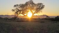 0471 Ausflug nach Sossovlei - Sonnenaufgang &ndash; &copy; Annette Weise (Eberhardt TRAVEL)