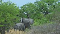 1220 Etoscha-NP-Elefanten &ndash; &copy; Annette Weise (Eberhardt TRAVEL)