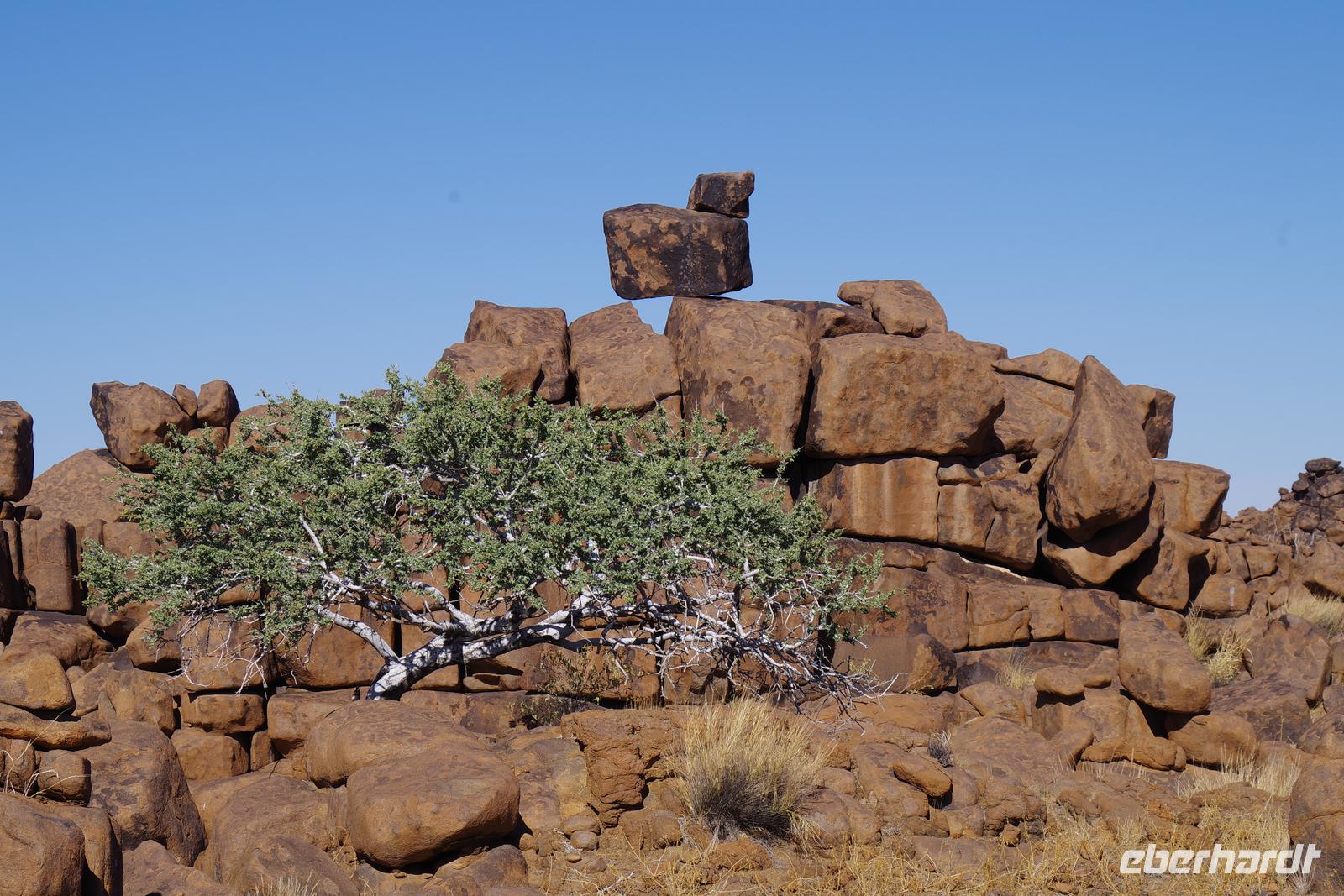Namibia - Köcherbaumwald (6) &ndash; &copy; Franziska Barthel (Eberhardt TRAVEL)