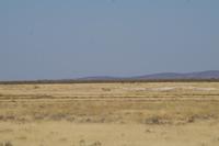 Namibia - Etosha Nationalpark (2) &ndash; &copy; Franziska Barthel (Eberhardt TRAVEL)