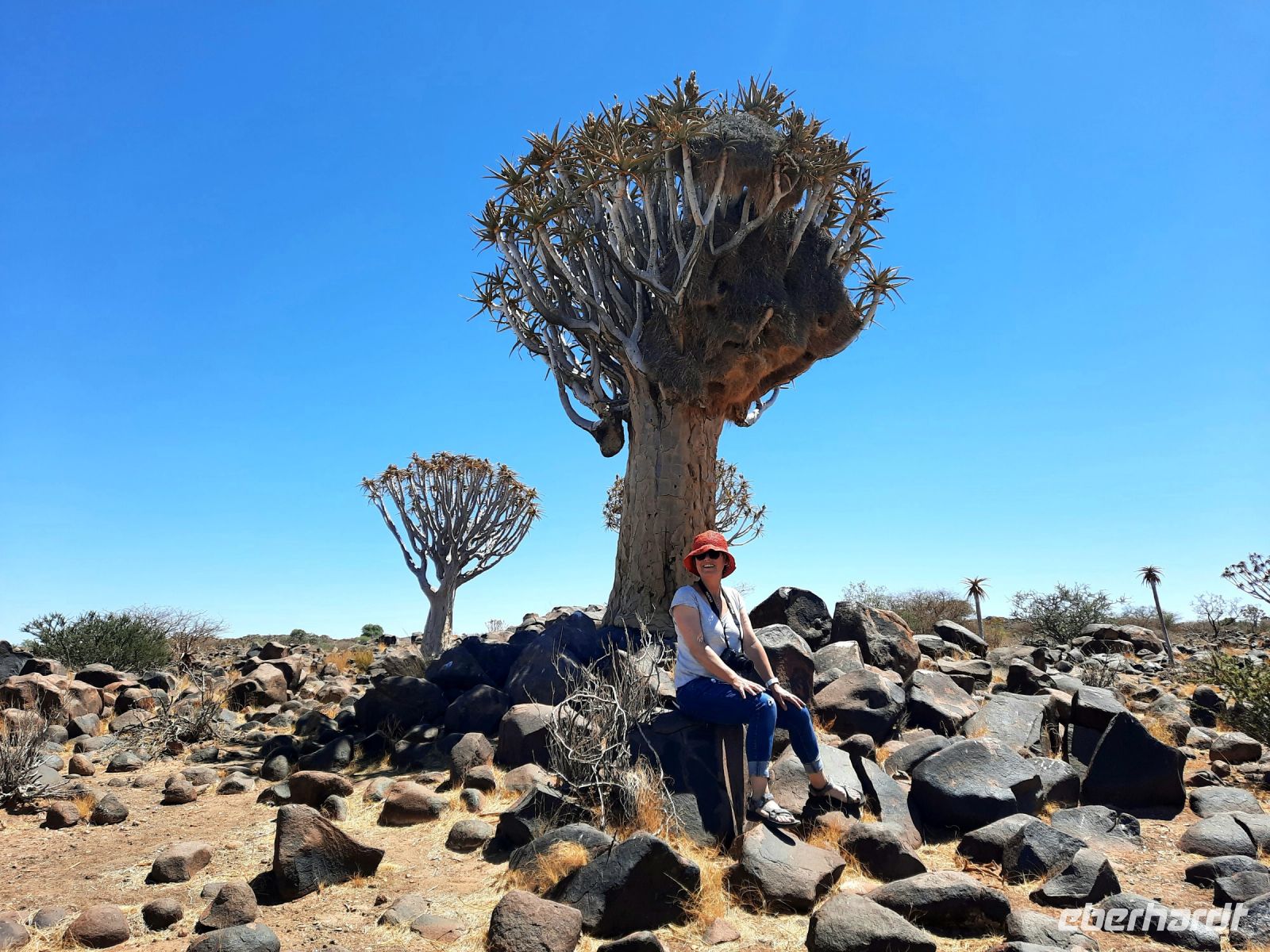 Namibia - Köcherbaumwald &ndash; &copy; Annett Müller (Eberhardt TRAVEL)