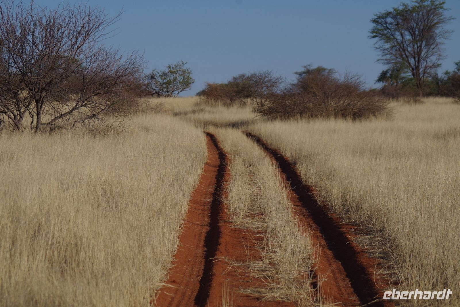 Nature Drive - Gondwana Kalahari Park &ndash; &copy; Annett Müller (Eberhardt TRAVEL)