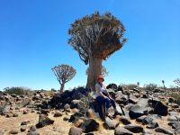 Namibia - Köcherbaumwald &ndash; &copy; Annett Müller (Eberhardt TRAVEL)