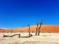 Nationalpark Sossusvlei - Dead Vlei &ndash; &copy; Annett Müller (Eberhardt TRAVEL)