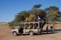 Nature Drive - Gondwana Kalahari Park &ndash; &copy; Annett Müller (Eberhardt TRAVEL)