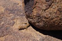 Unterwegs in Namibia &ndash; &copy; Annett Müller (Eberhardt TRAVEL)