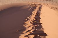 Nationalpark Sossusvlei - Unsere Spuren im Sand &ndash; &copy; Annett Müller (Eberhardt TRAVEL)