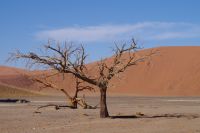 Nationalpark Sossusvlei  &ndash; &copy; Annett Müller (Eberhardt TRAVEL)