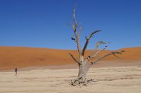 Nationalpark Sossusvlei - Dead Vlei &ndash; &copy; Annett Müller (Eberhardt TRAVEL)