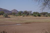 Mount Etjo Safari Lodge - Nature Drive &ndash; &copy; Annett Müller (Eberhardt TRAVEL)