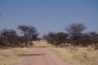 Mount Etjo Safari Lodge - Nature Drive &ndash; &copy; Annett Müller (Eberhardt TRAVEL)