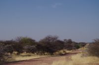 Mount Etjo Safari Lodge - Nature Drive &ndash; &copy; Annett Müller (Eberhardt TRAVEL)
