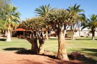 2-Kalahari Anib Lodge &ndash; &copy; Susanne Schirmann (Eberhardt TRAVEL)