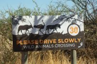 5-Kalahari Anib Lodge &ndash; &copy; Susanne Schirmann (Eberhardt TRAVEL)