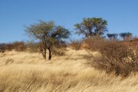 12-Nature Drive &ndash; &copy; Susanne Schirmann (Eberhardt TRAVEL)
