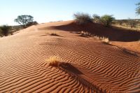 14-Kalahari &ndash; &copy; Susanne Schirmann (Eberhardt TRAVEL)