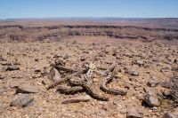 65-Fish River Canyon  &ndash; &copy; Susanne Schirmann (Eberhardt TRAVEL)
