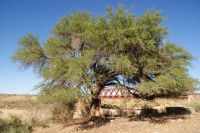 71-Namibia &ndash; &copy; Susanne Schirmann (Eberhardt TRAVEL)