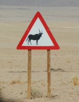 119-Achtung Oryx  &ndash; &copy; Susanne Schirmann (Eberhardt TRAVEL)