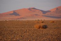138-Namib Naukluft Park &ndash; &copy; Susanne Schirmann (Eberhardt TRAVEL)