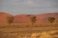 141-Namib Naukluft Park &ndash; &copy; Susanne Schirmann (Eberhardt TRAVEL)