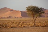 145-Namib Naukluft Park &ndash; &copy; Susanne Schirmann (Eberhardt TRAVEL)
