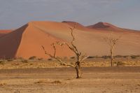 149-Namib Naukluft Park &ndash; &copy; Susanne Schirmann (Eberhardt TRAVEL)
