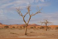 152-Namib Naukluft Park &ndash; &copy; Susanne Schirmann (Eberhardt TRAVEL)