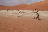 157-Namib Naukluft Park &ndash; &copy; Susanne Schirmann (Eberhardt TRAVEL)